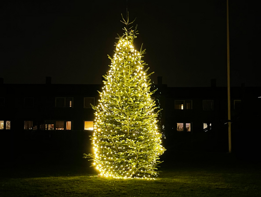 Christmas Lights on bushes, hedges and trees